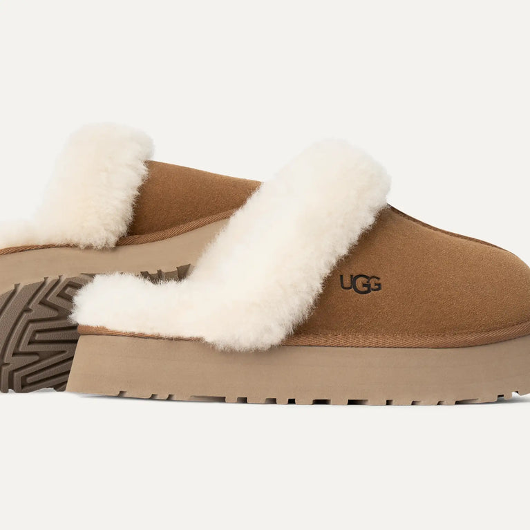Brown UGG slipper with white fur lining in volonka store. UGG Womens Disquette Cozy and Stylish Slippers