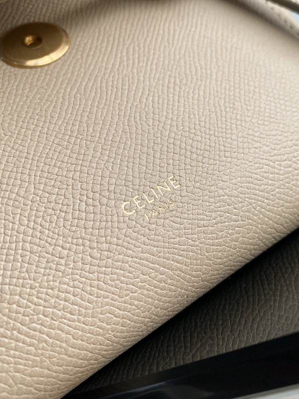 CELINE Mini Pico Belt Bag Luxury Designer Handbag