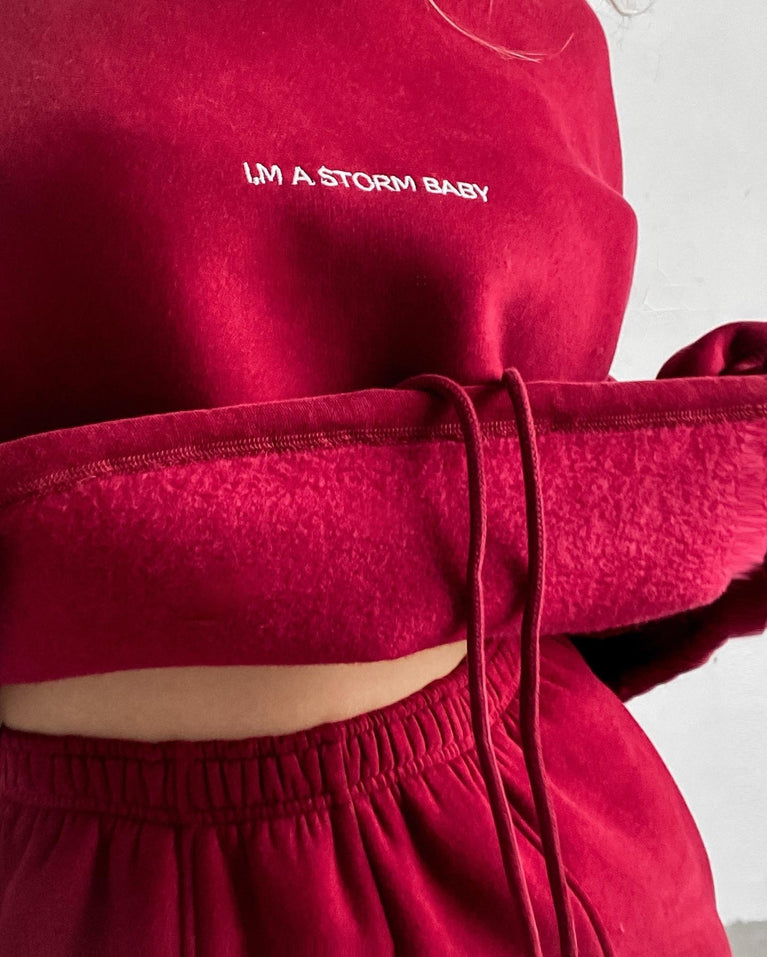 Cozy Stylish Women's Spring Sweatshirt Two Piece Set