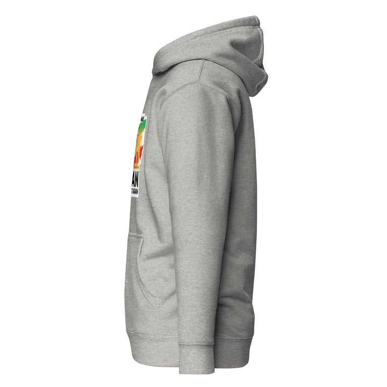 Make Iran Great Again Unisex Hoodie featuring a lion emblem and vibrant colors on a Gray.