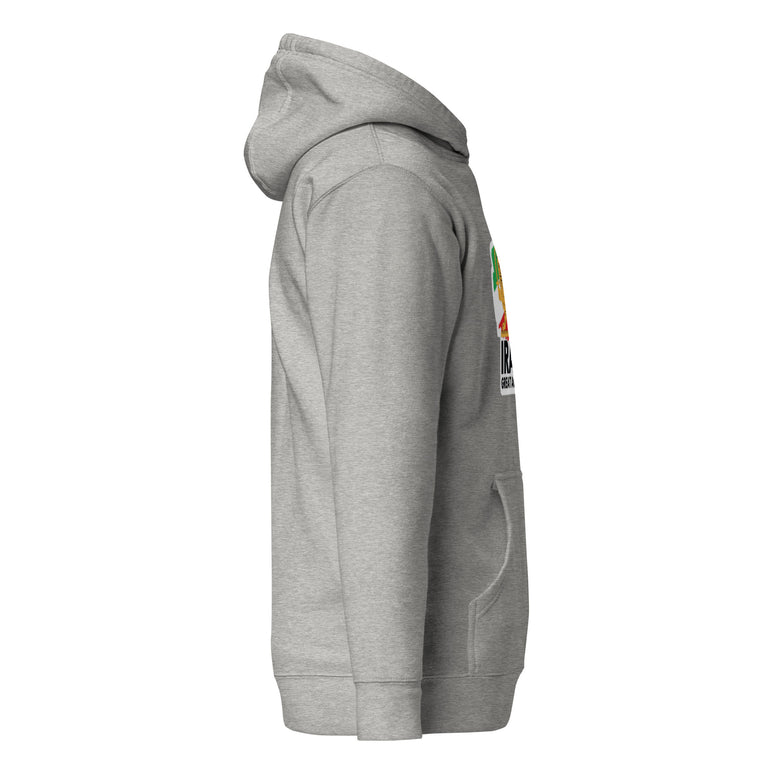 Make Iran Great Again Unisex Hoodie featuring a lion emblem and vibrant colors on a Gray.