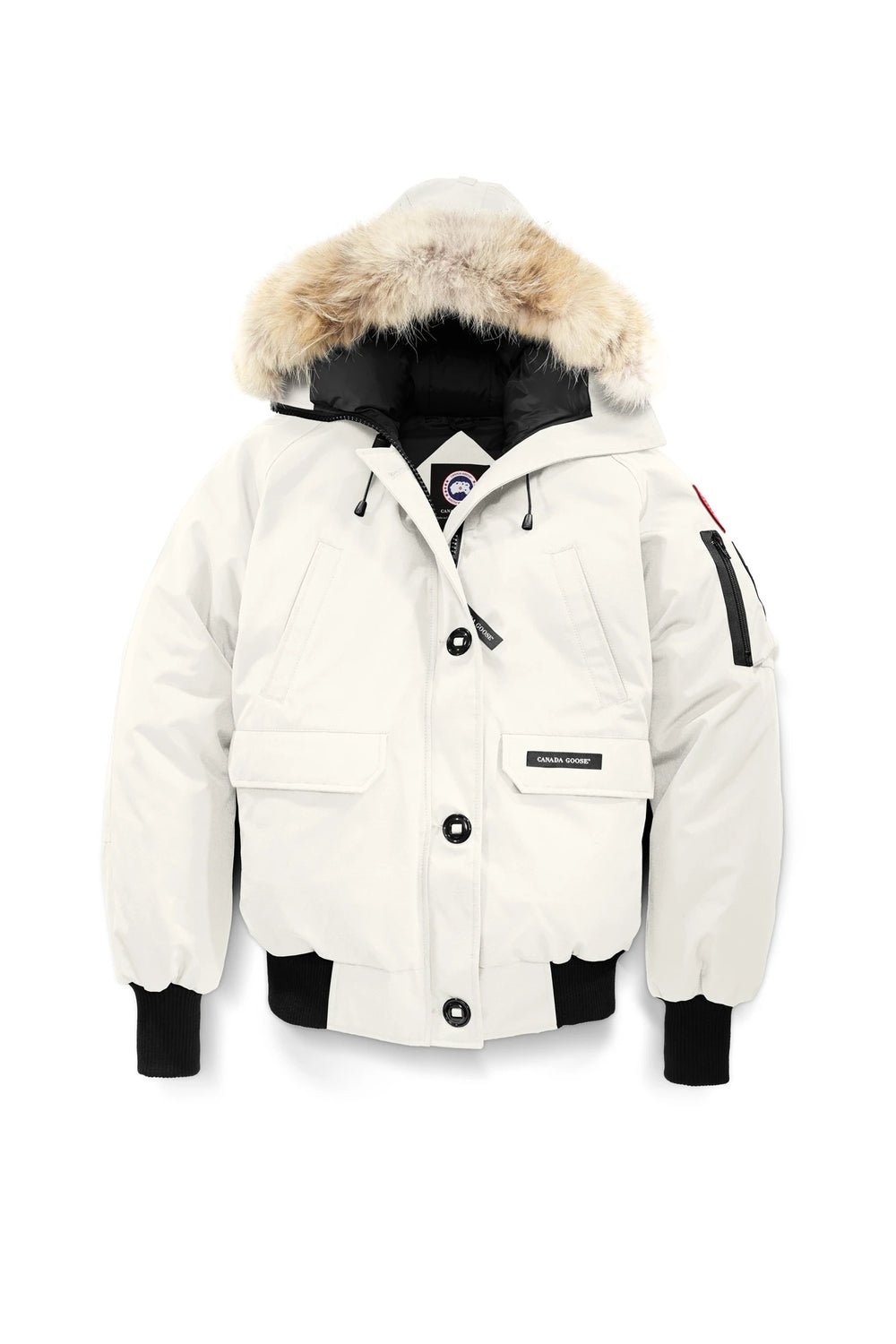 Canada Goose Chilliwack Bomber Women's Winter Hooded Jacket in volonka store