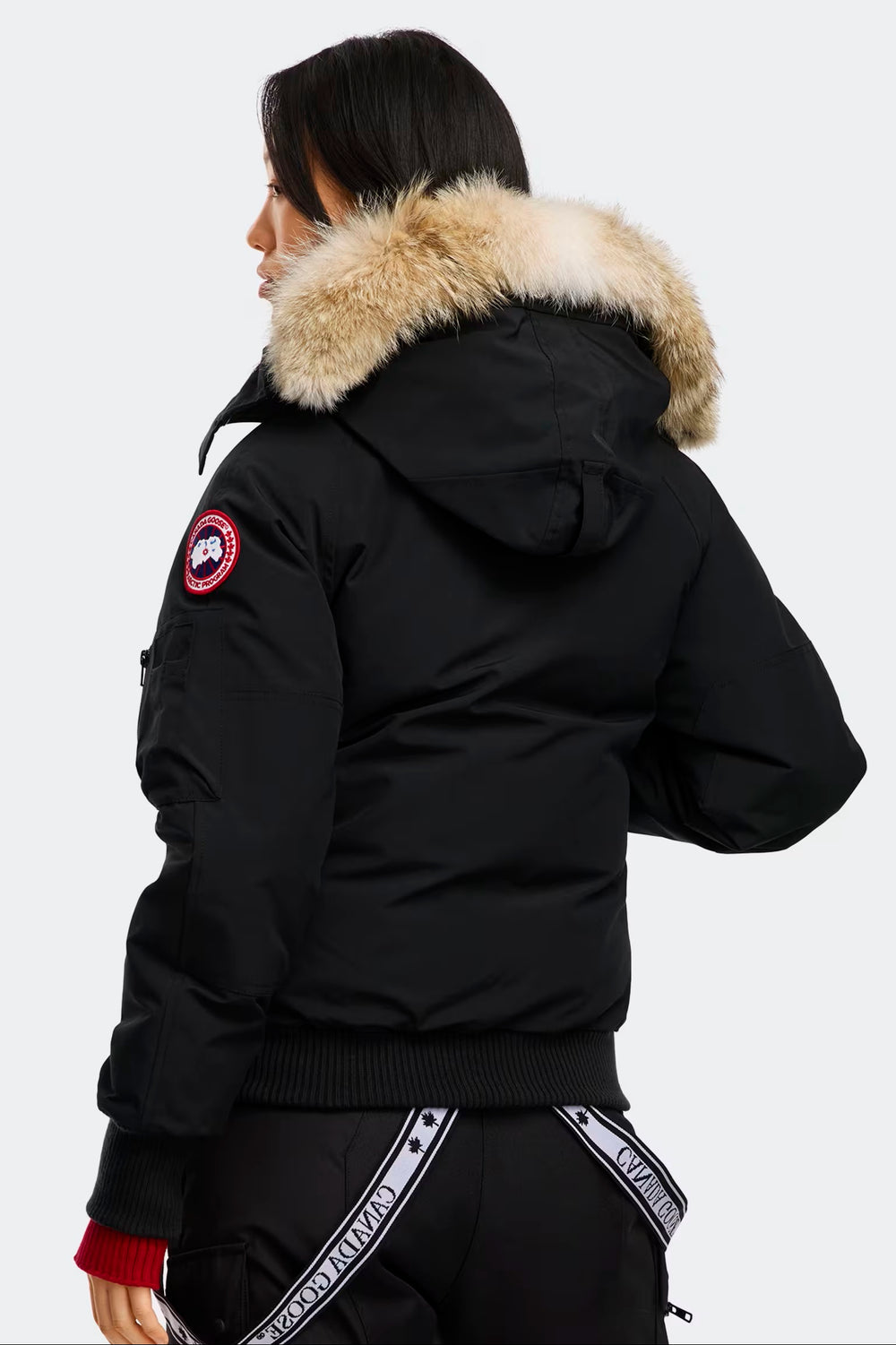 Black parka with fur hood on a white background. Canada Goose Chilliwack Bomber Women's Winter Hooded Jacket