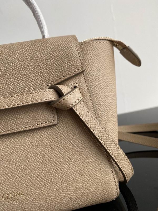 CELINE Mini Pico Belt Bag Luxury Designer Handbag