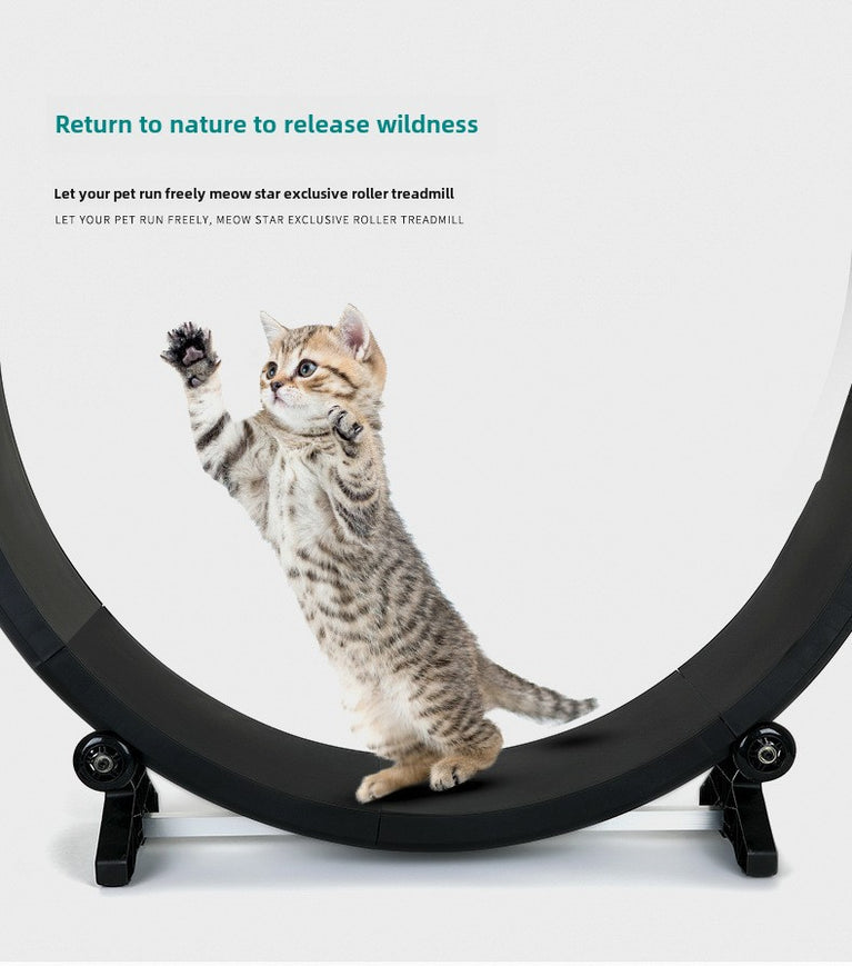 Cross-border exclusive cat treadmill claw grinding sports multi-functional silent pet treadmill