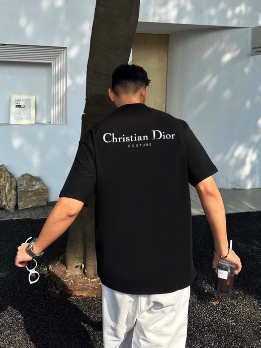 Dior Indigenous Pony Embroidery Tshirt
