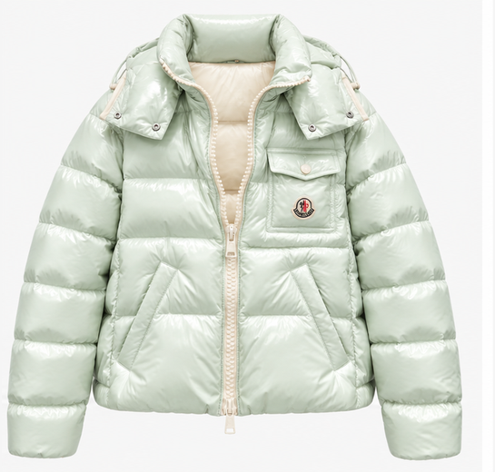 Moncler Glossy Hooded Puffer Jacket