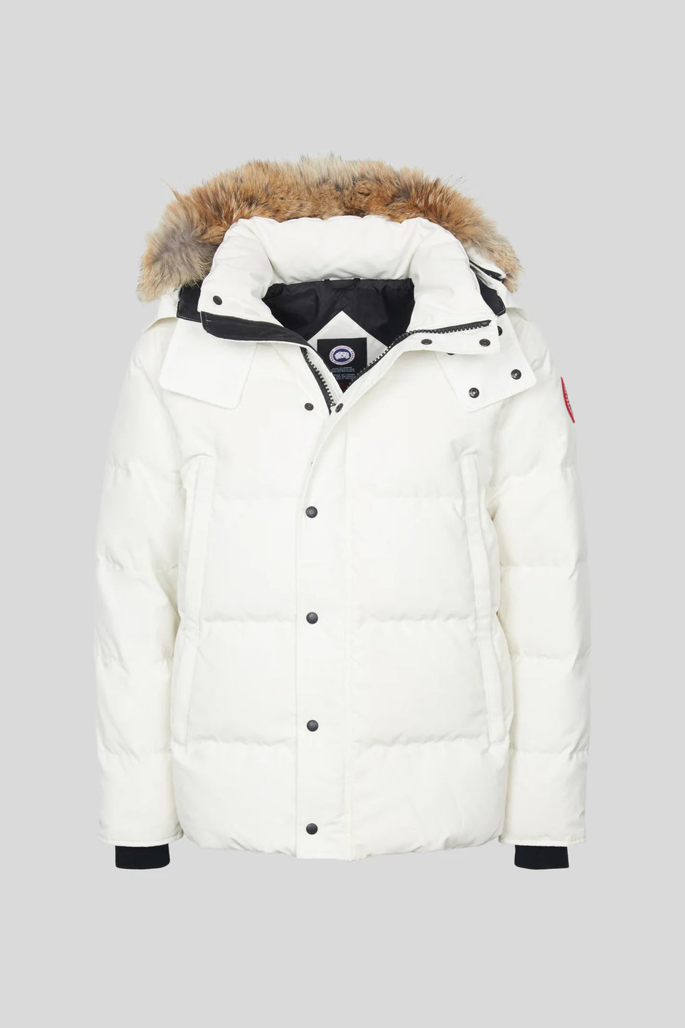 White winter jacket, Canada Goose Wyndham Parka Goose Men's Winter Jacket at Volonka. 